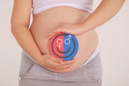Girl or boy? Fetus sex determination